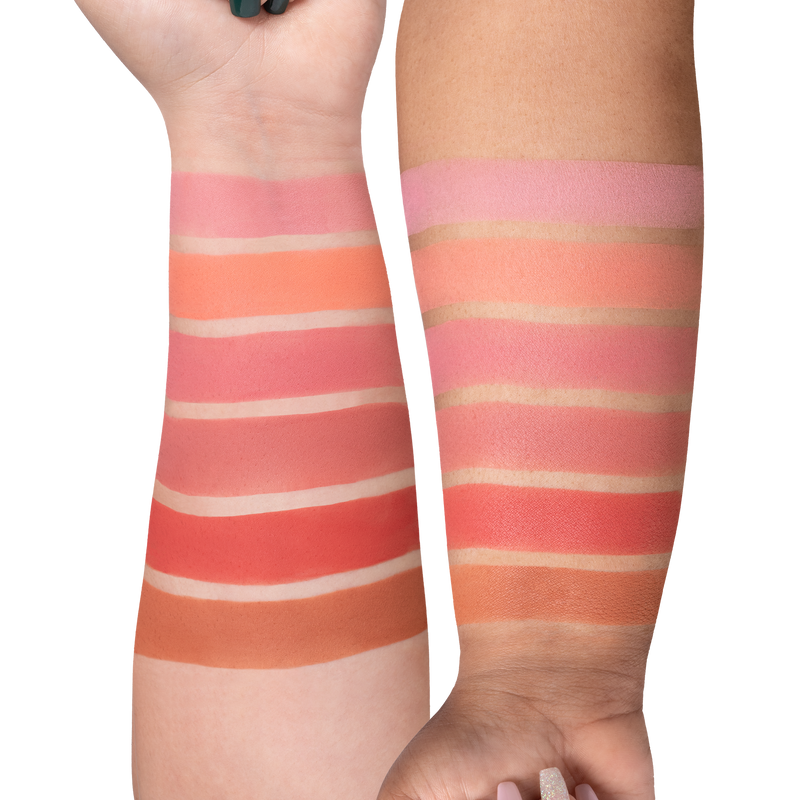 OFRA - Mini Mix Face Palette - CHARM YOUR CHEEKS
